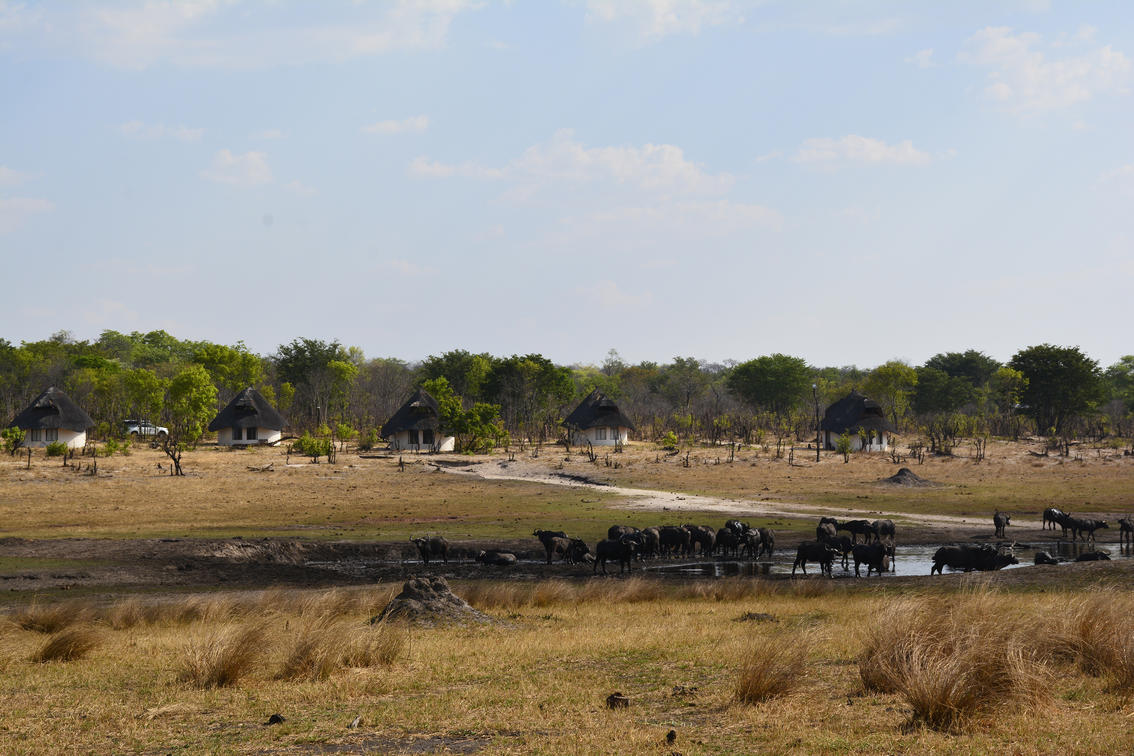 Sable Sands