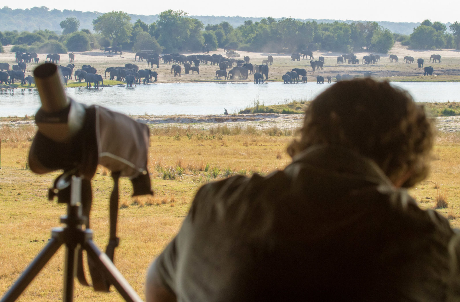 Chobe Savanna Lodge thumbnail 9