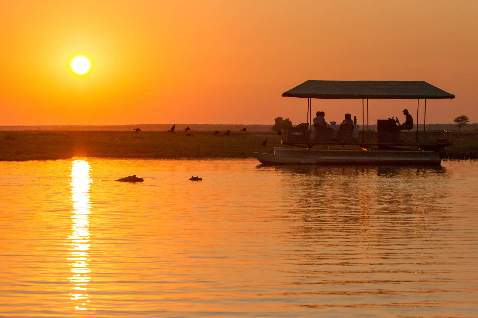 Chobe Savanna Lodge thumbnail 5