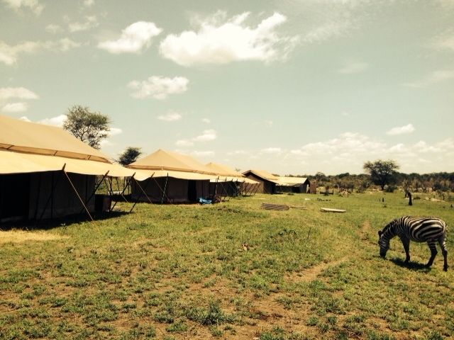 Mbugani Seronera Camp thumbnail 6