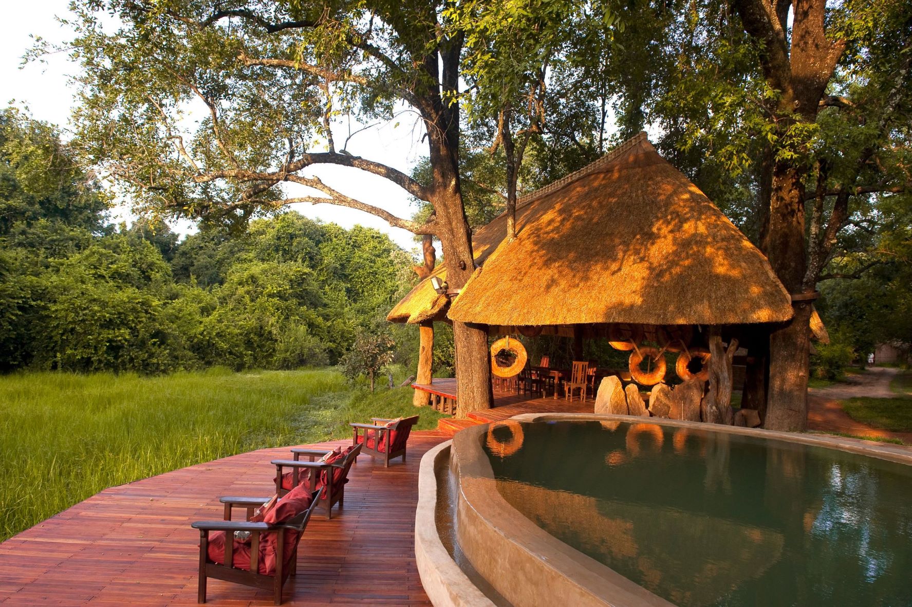 Nkwali Camp thumbnail 6