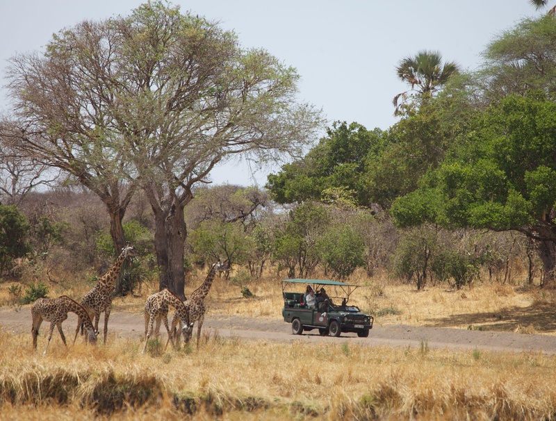 Katavi Wildlife Camp thumbnail 4