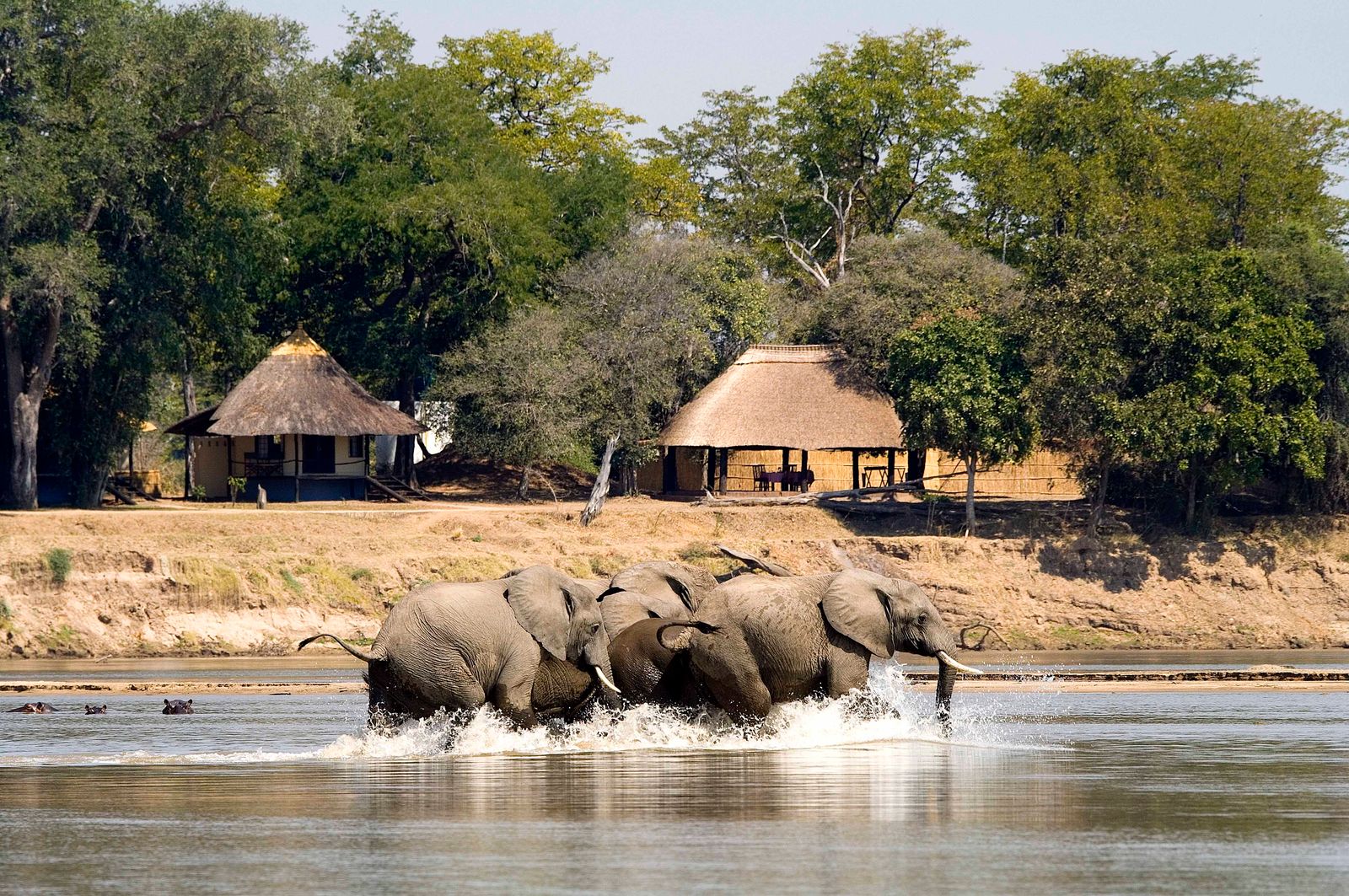 Nsefu Camp thumbnail 6