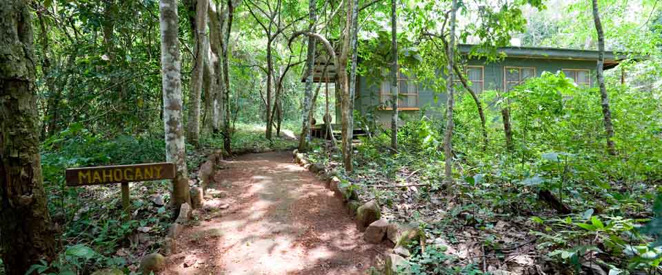 Budongo Eco Lodge thumbnail 7