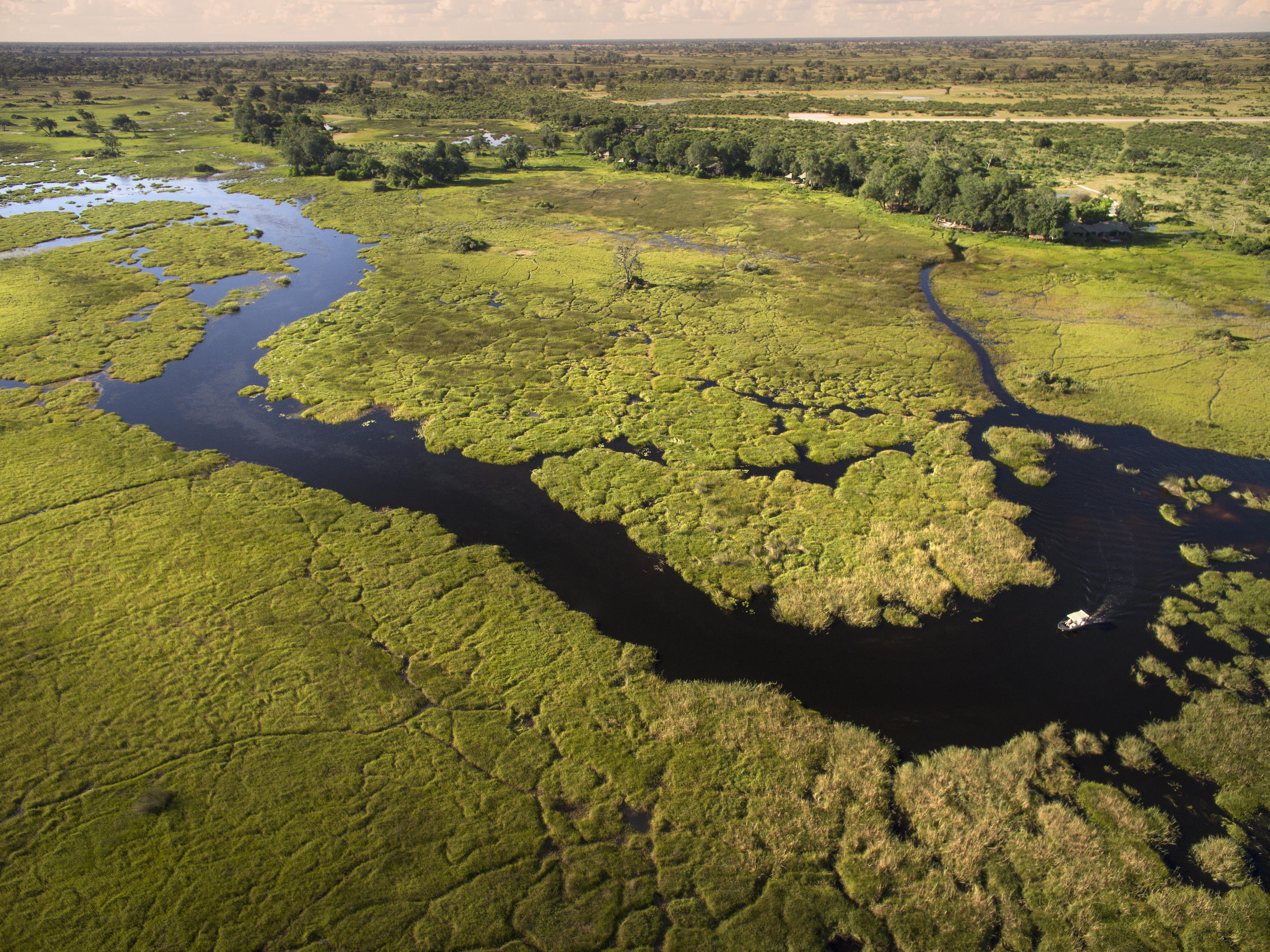Duba Plains Camp thumbnail 13