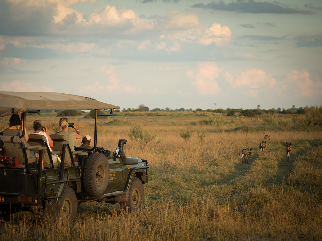 Duba Plains Camp thumbnail 4