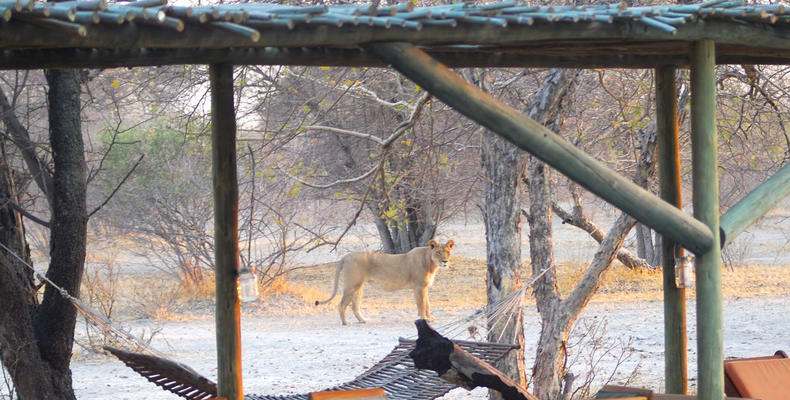 Evolve Back Gham Dhao Lodge thumbnail 6