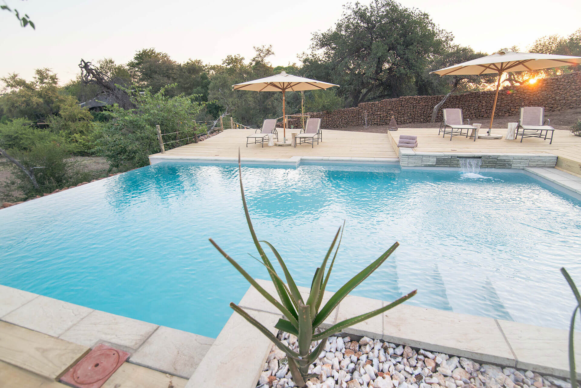 Mashatu Lodge thumbnail 5