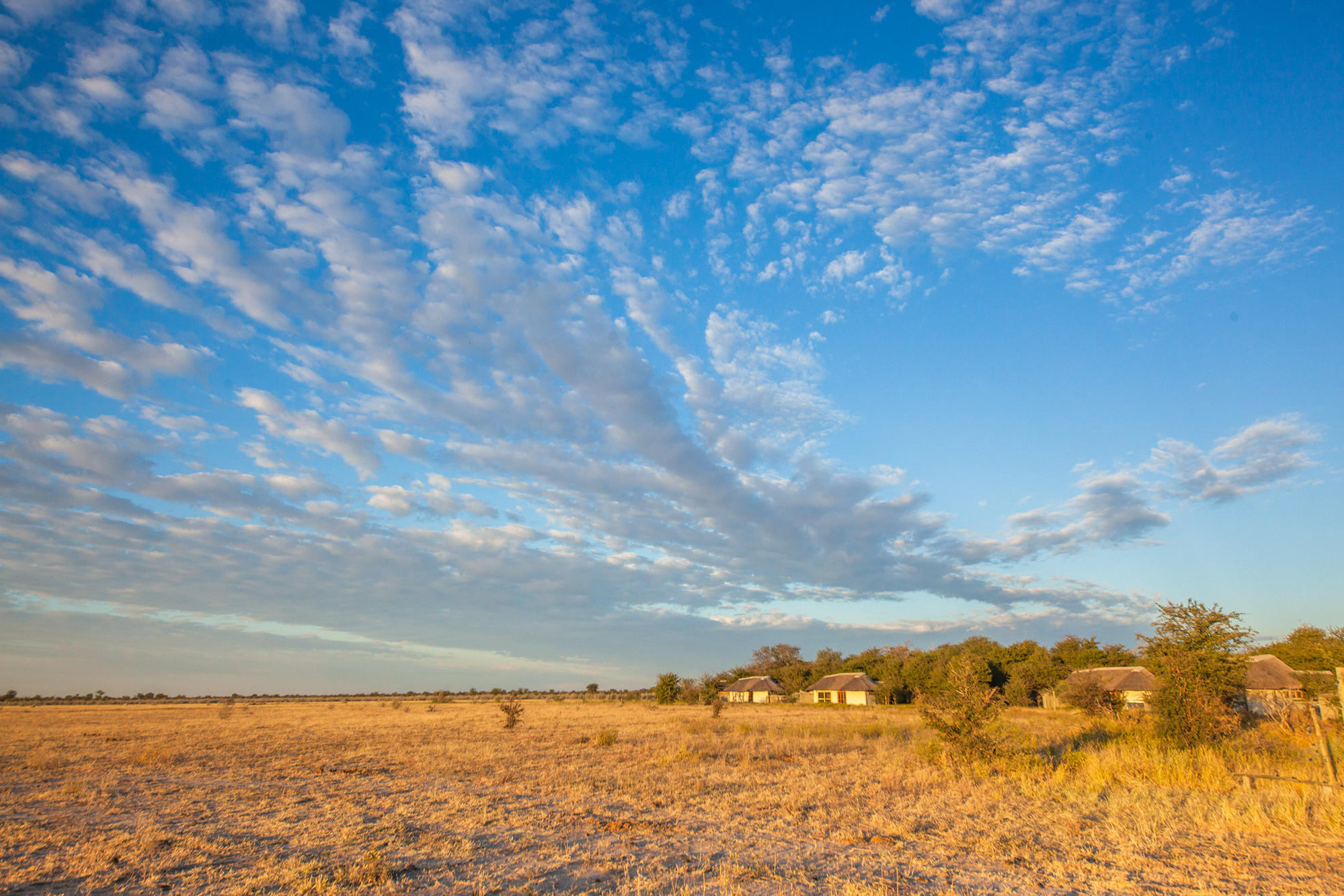 Kwando Nxai Pan