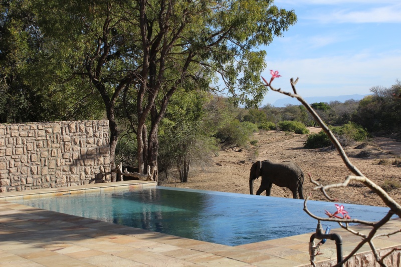 Shumbalala Game Lodge thumbnail 2