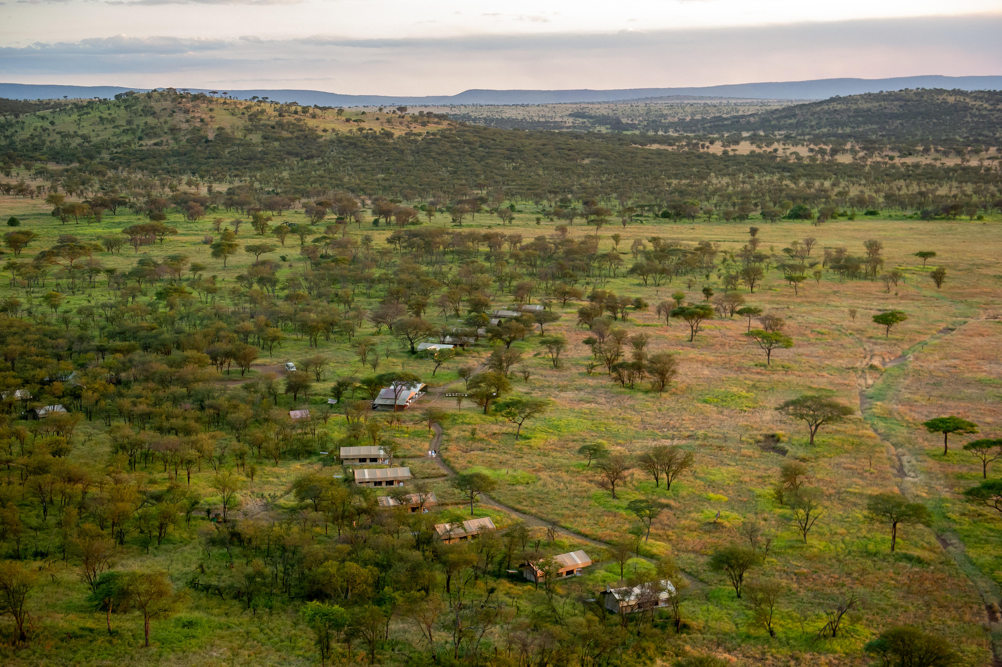 Serengeti Kati Kati Tented Camp thumbnail 8