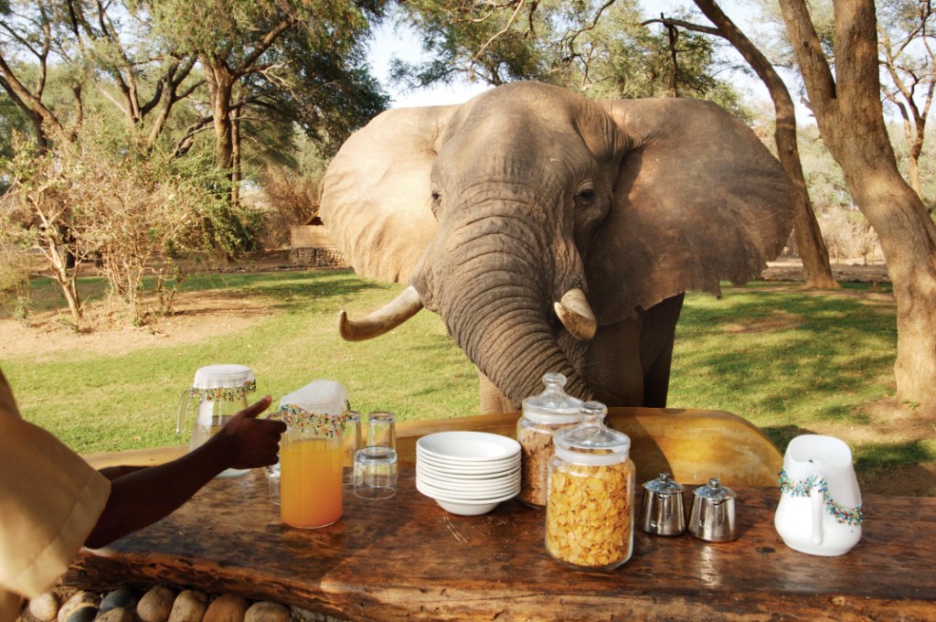 Time + Tide Chongwe Camp thumbnail 3