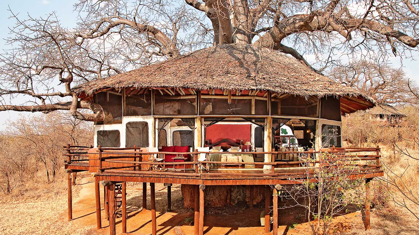Elewana Tarangire Treetops thumbnail 6