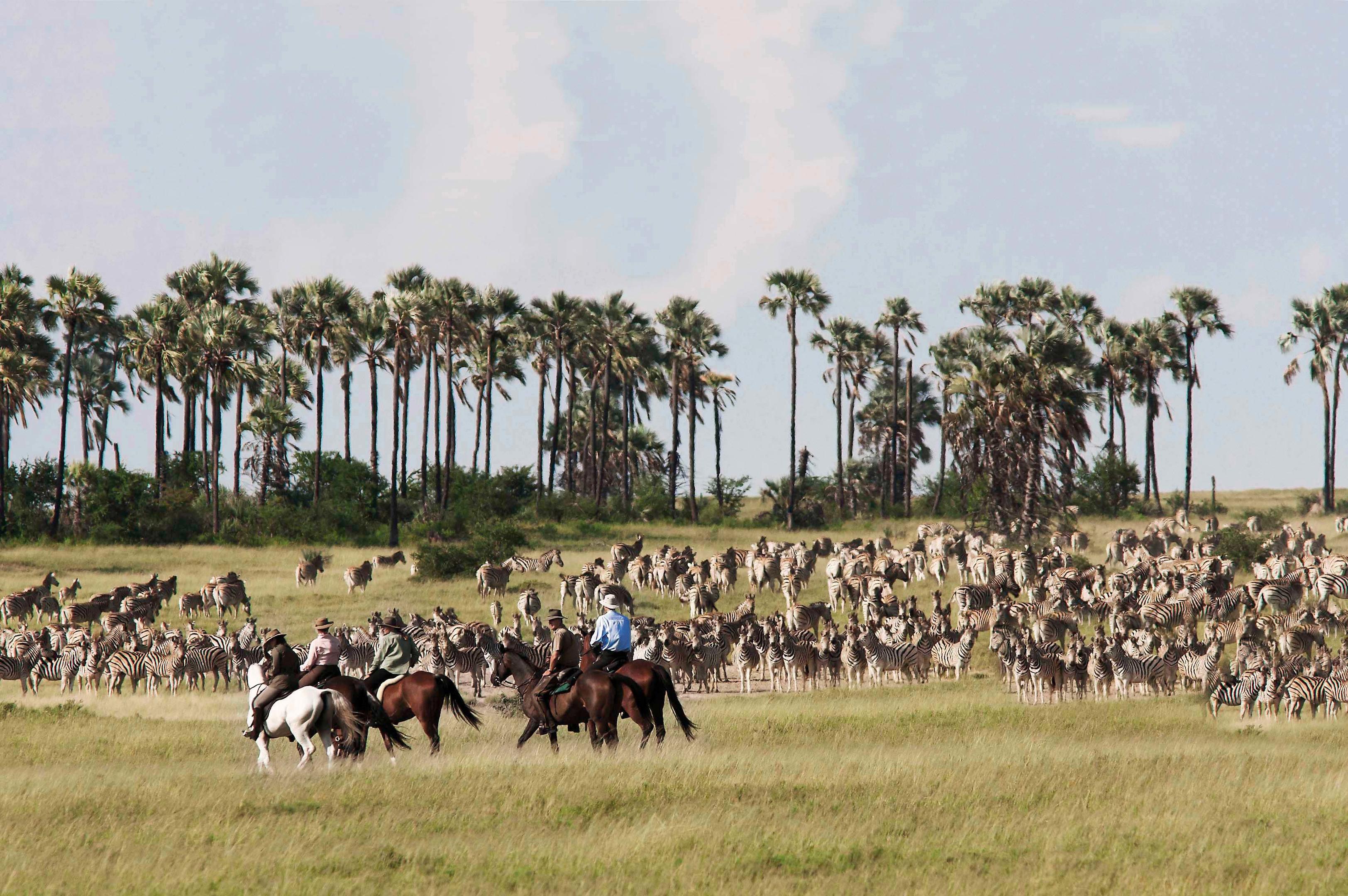 San Camp thumbnail 8