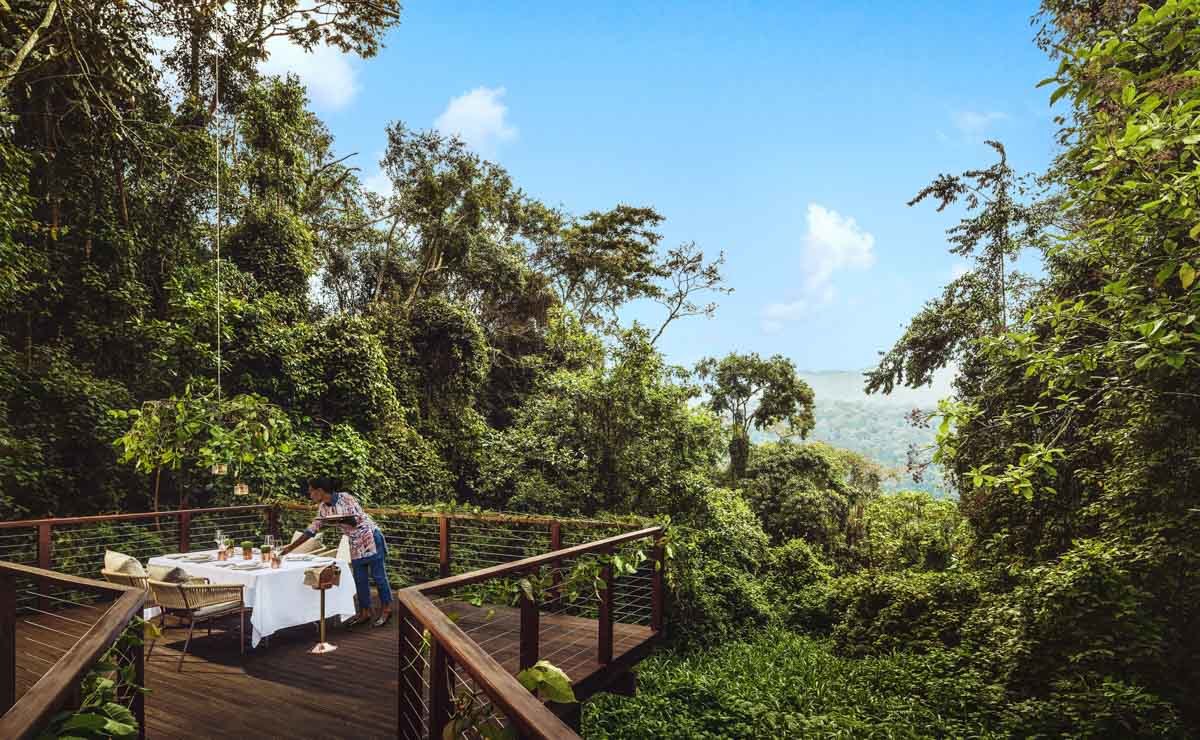 One&Only Nyungwe House thumbnail 2
