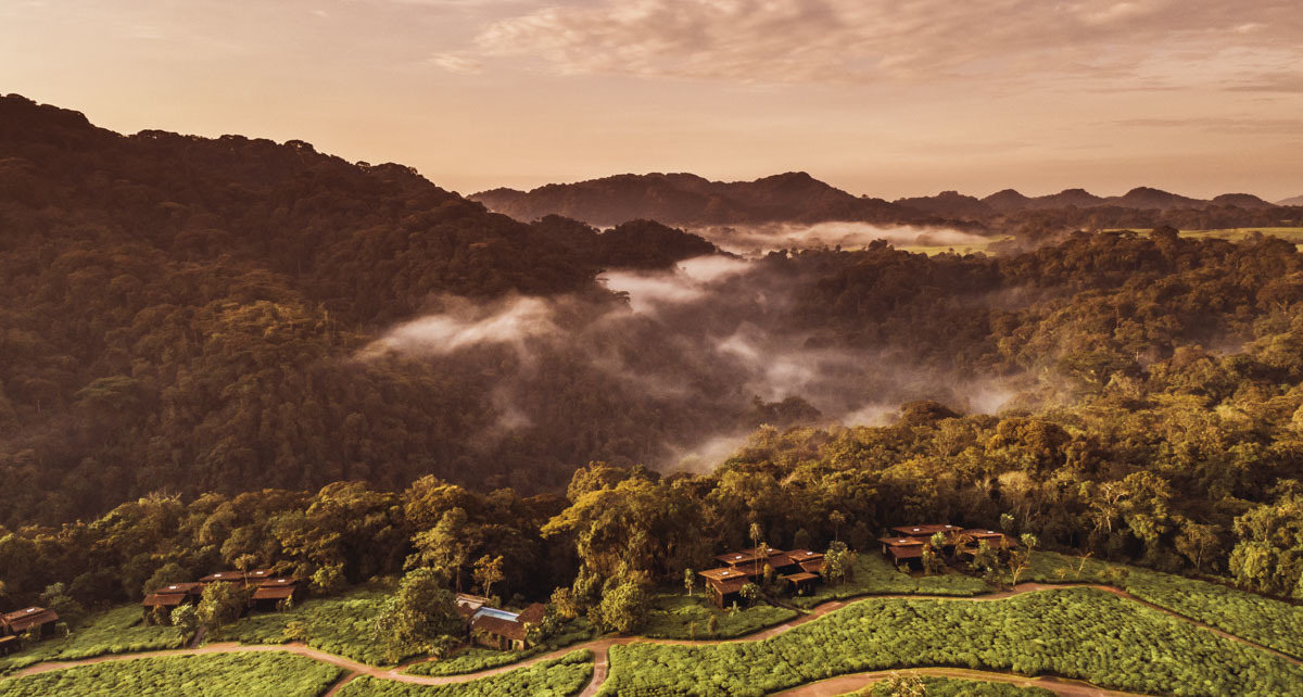 One&Only Nyungwe House thumbnail 5
