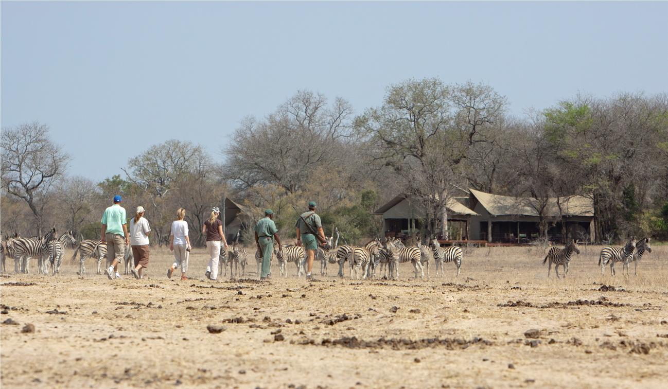 Plains Camp