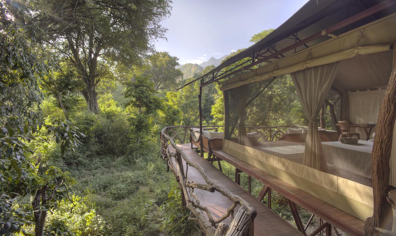 Sarara Camp thumbnail 6