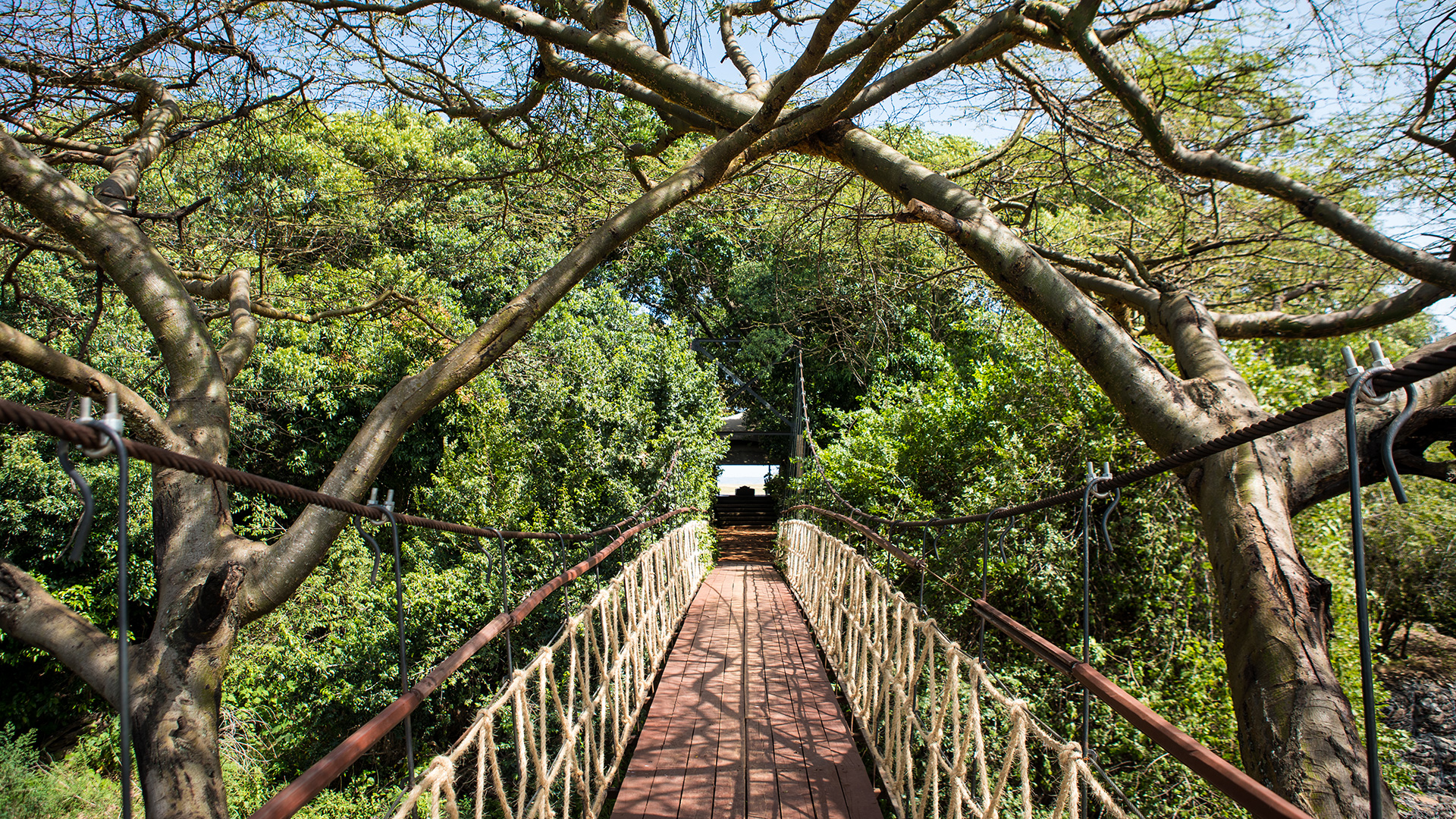 Mara Plains Camp