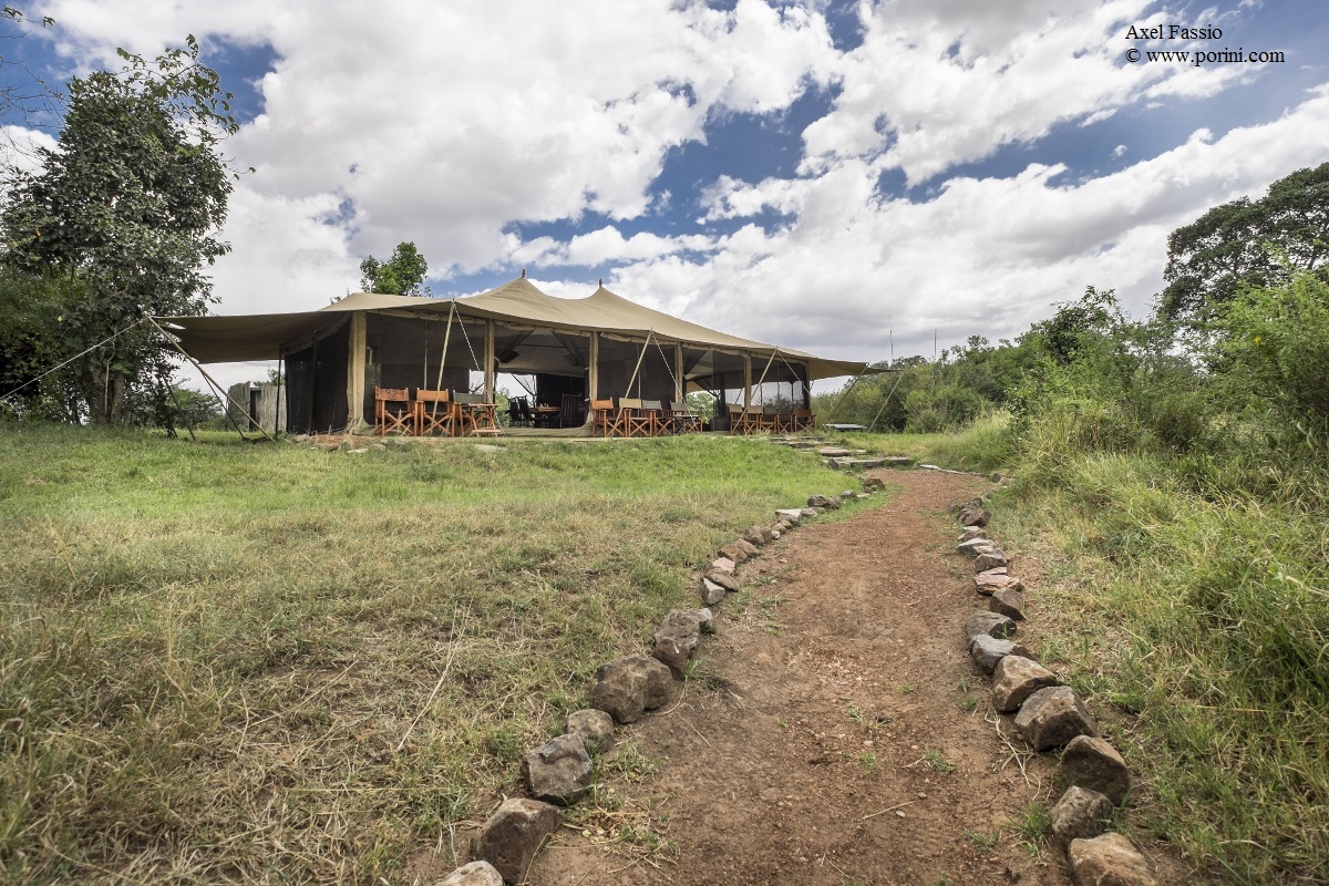 Porini Lion Camp