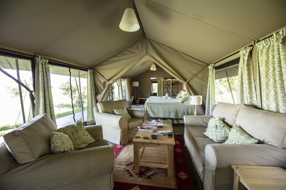 Porini Lion Camp thumbnail 5