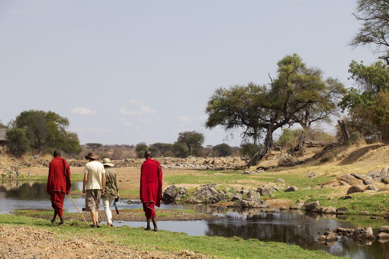 Ruaha River Lodge thumbnail 6