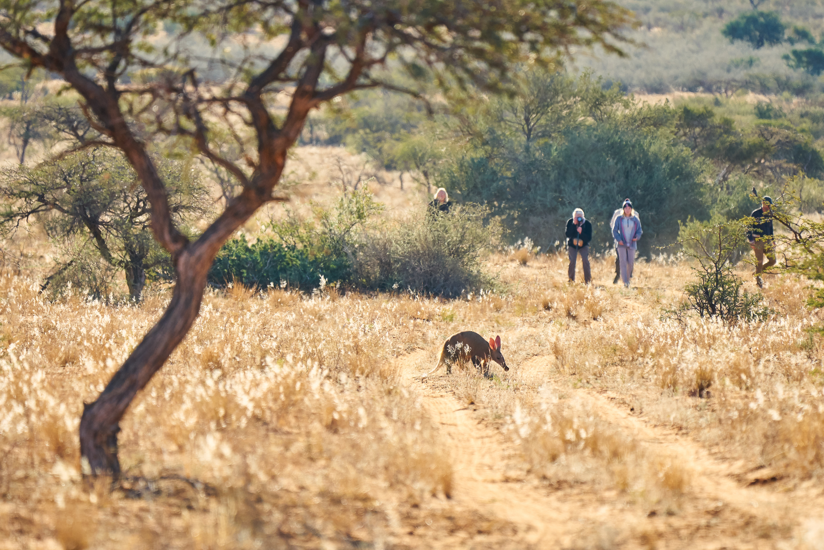 Tswalu Tarkuni Homestead thumbnail 2