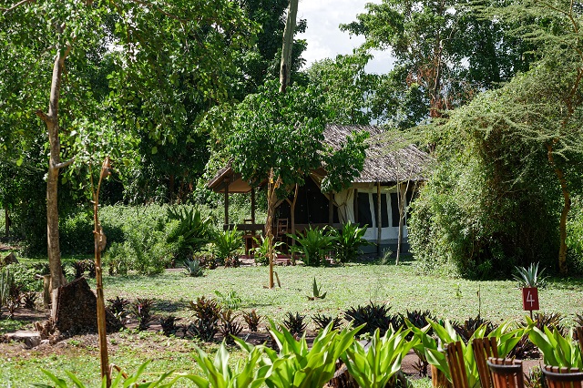 Migunga Tented Camp thumbnail 6