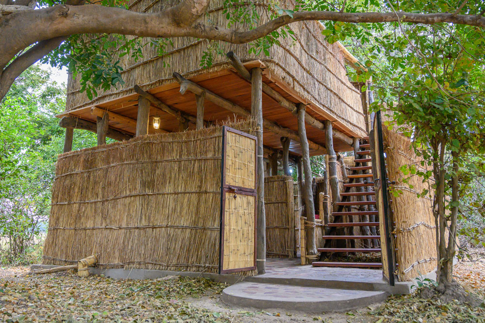 Chikoko Trails Camp thumbnail 2