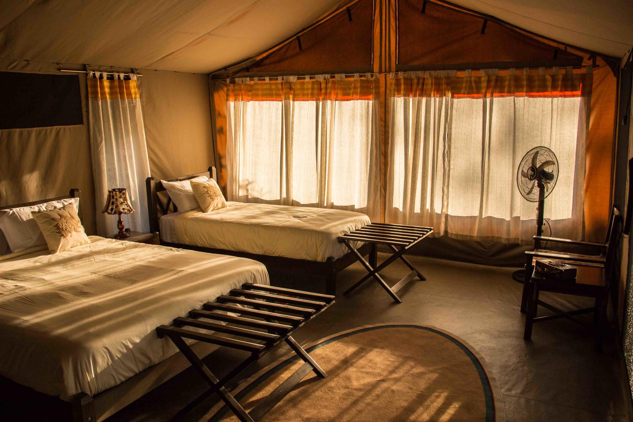 Porini Cheetah Camp thumbnail 1