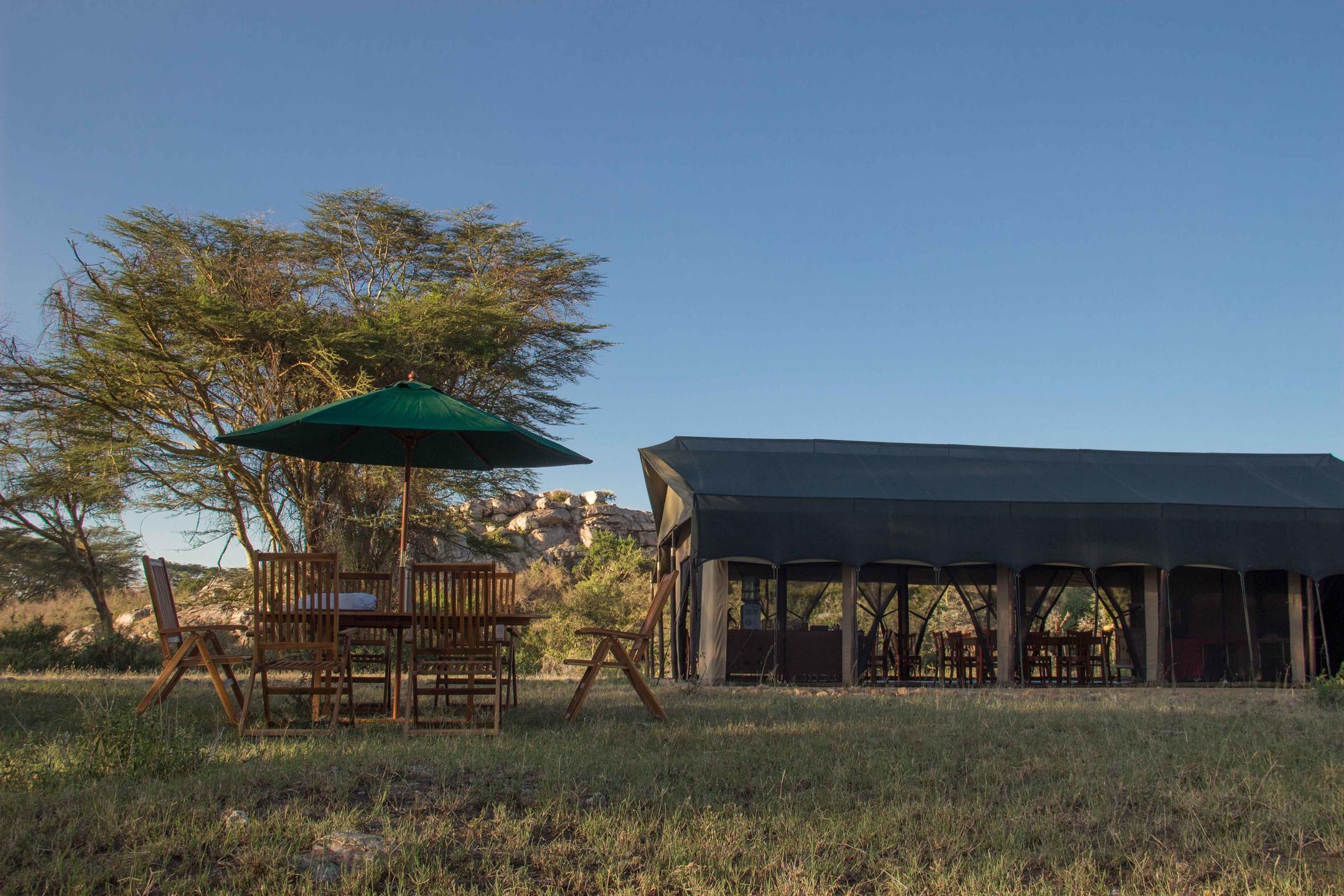 Porini Cheetah Camp thumbnail 2