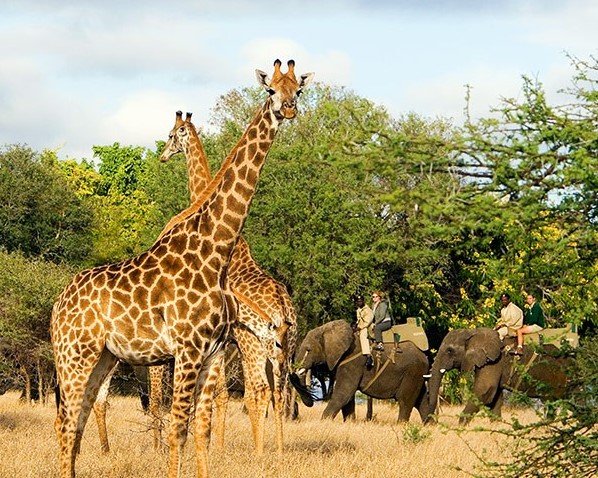 Jabulani thumbnail 9