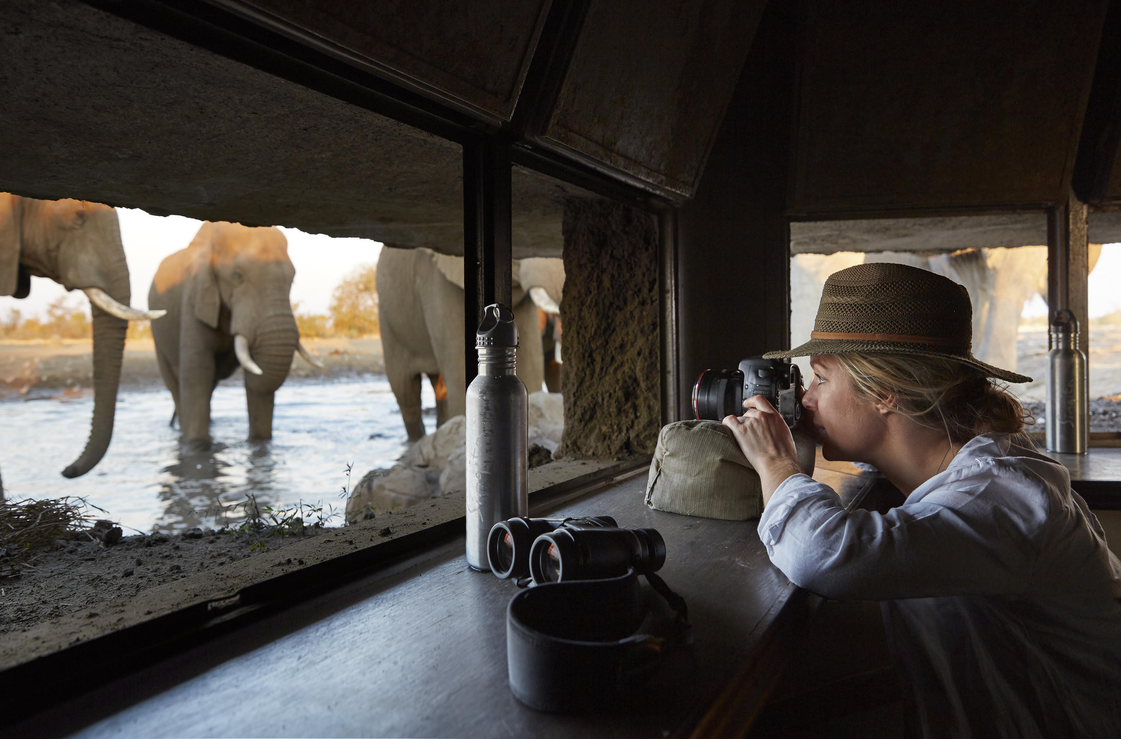 Singita Malilangwe House thumbnail 4
