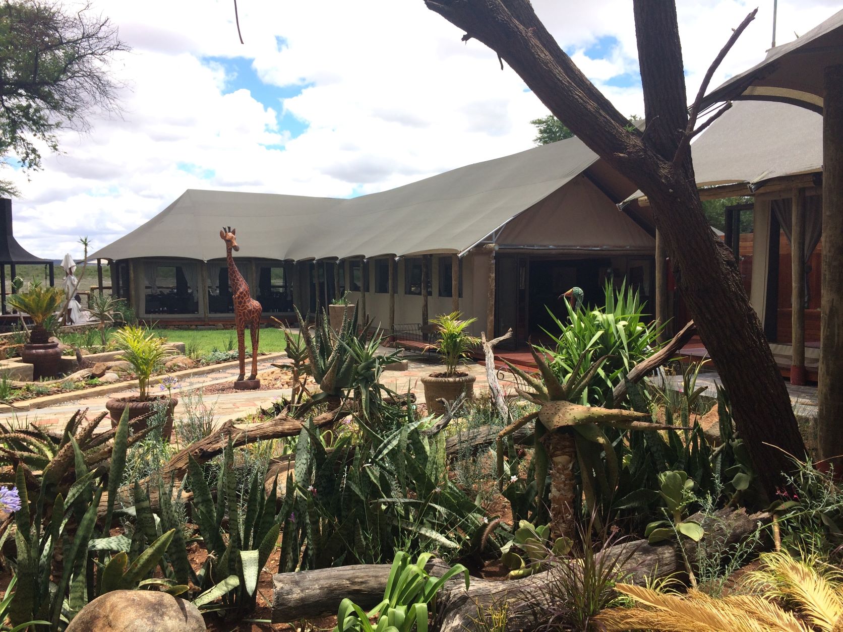 Tau Game Lodge thumbnail 1