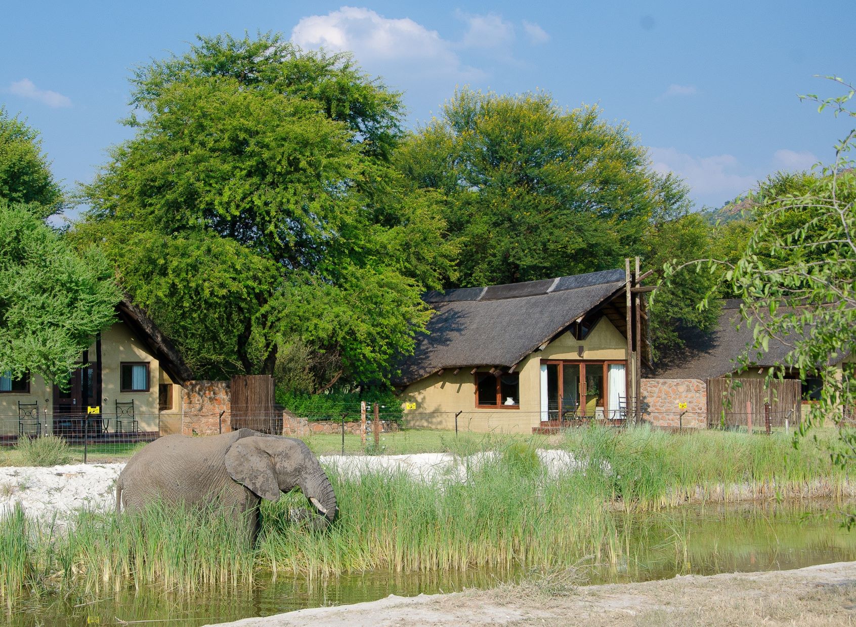 Tau Game Lodge