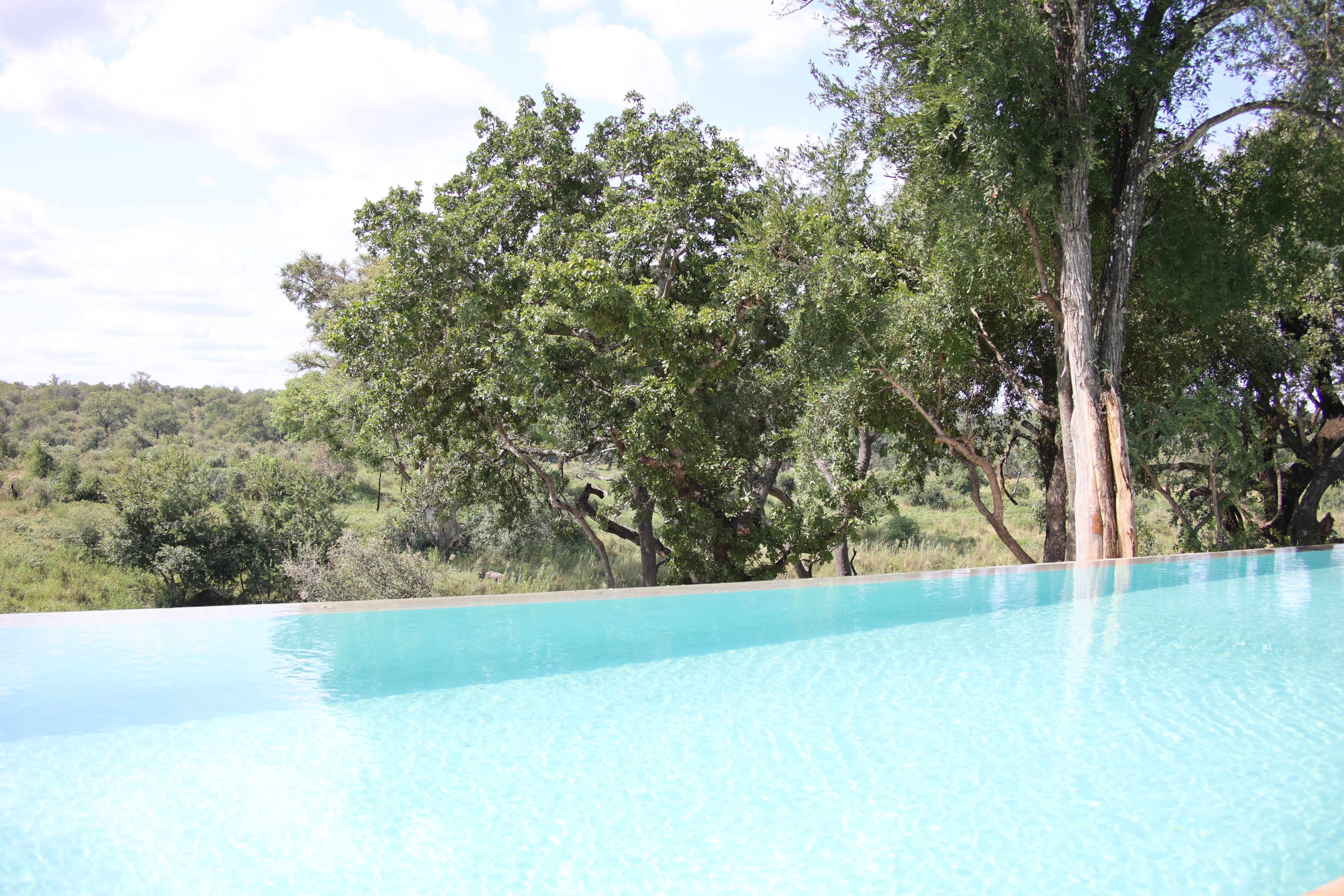 Becks Safari Lodge thumbnail 11