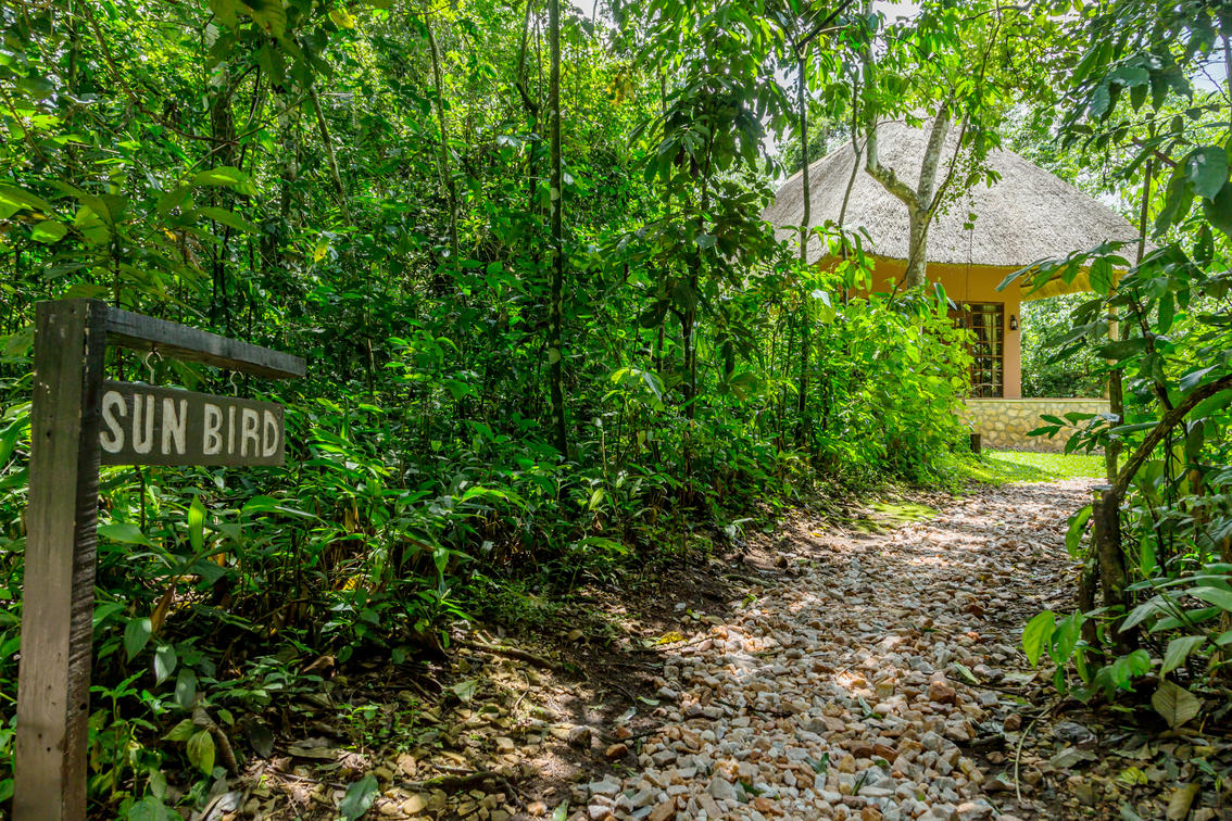 Primate Lodge Kibale
