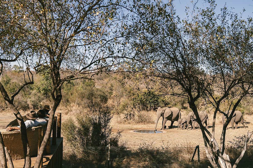 Simbavati Homestead