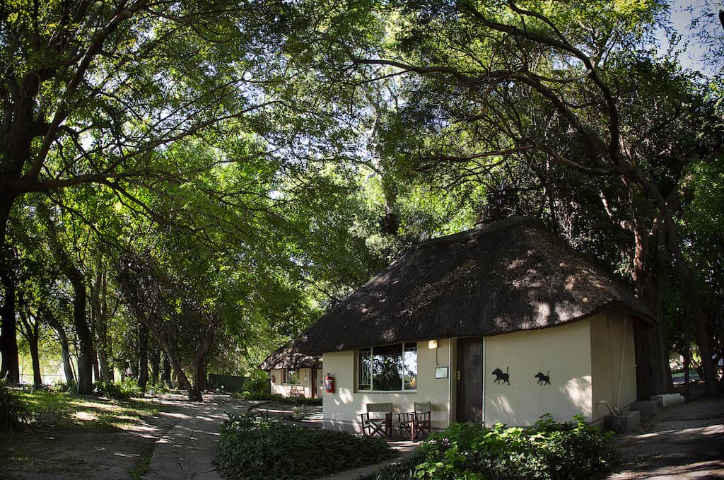 Island Safari Lodge thumbnail 10