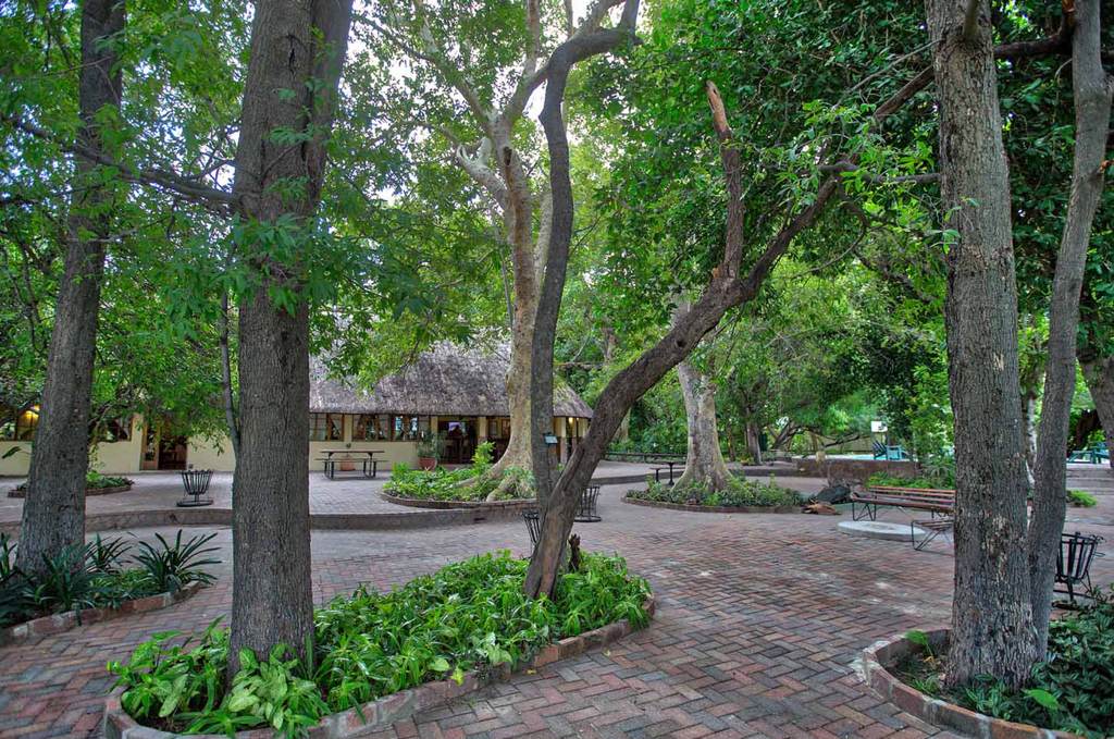 Island Safari Lodge thumbnail 5