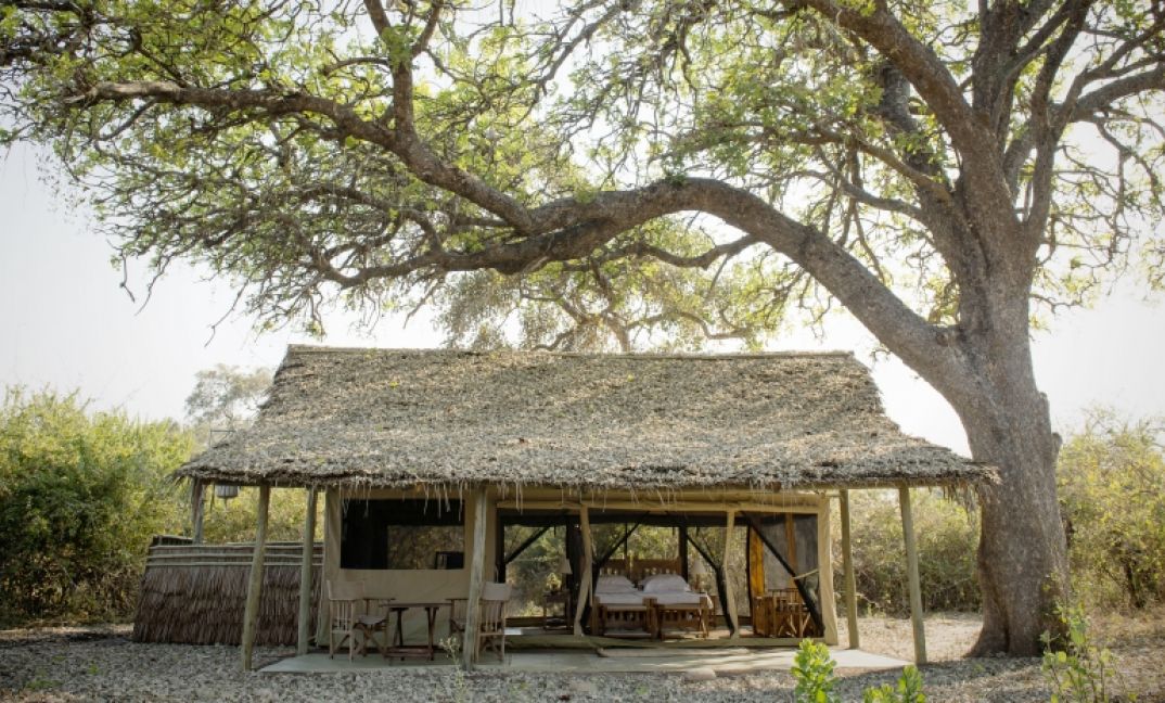 Kigelia Ruaha thumbnail 4