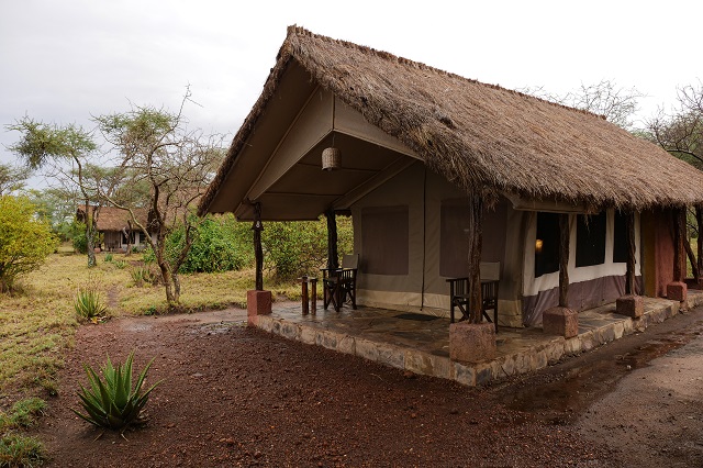 Ikoma Tented Camp