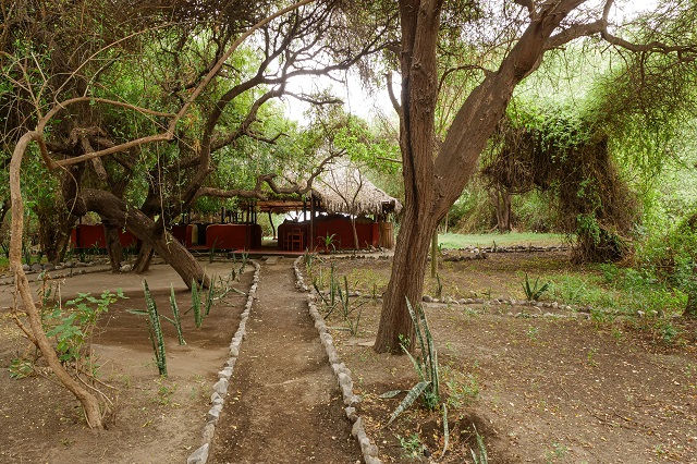 Lake Natron Tented Camp thumbnail 6