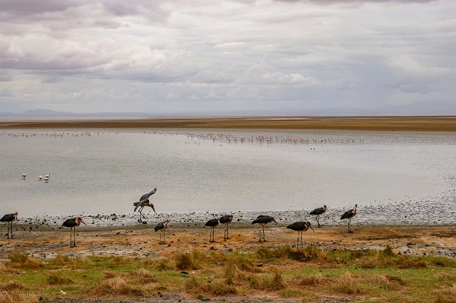 Lake Natron Tented Camp thumbnail 2