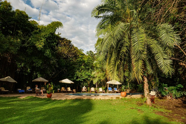 Moivaro Coffee Plantation Lodge thumbnail 6