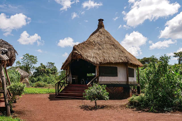 Crater Forest Tented Camp thumbnail 5