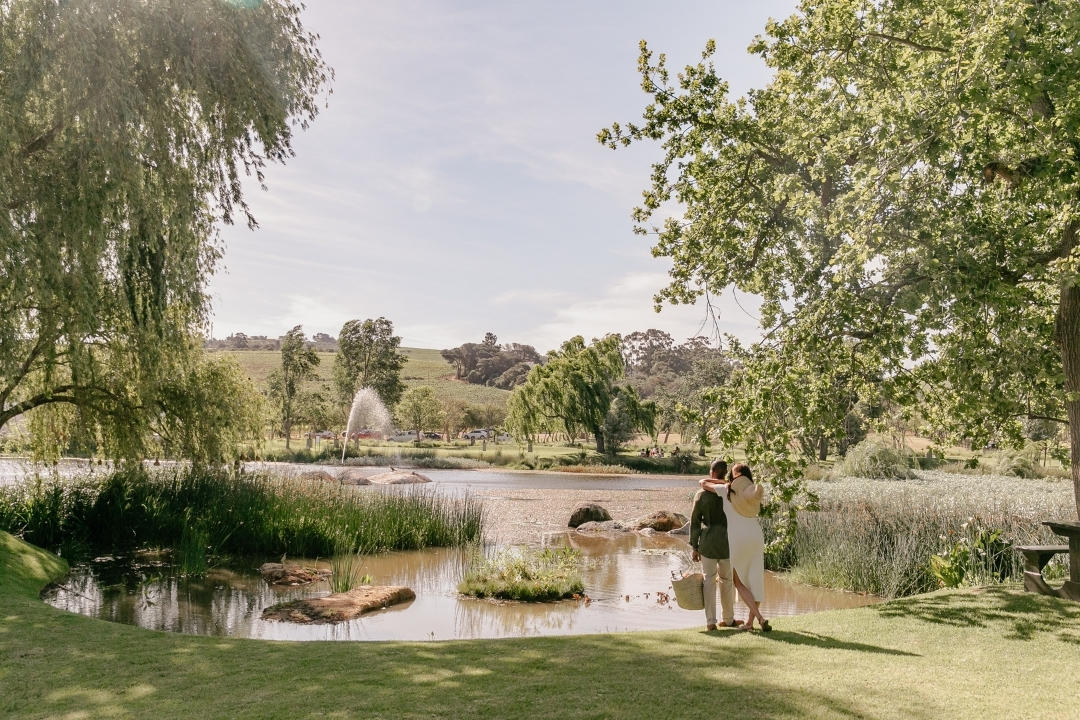 Spier Hotel thumbnail 5