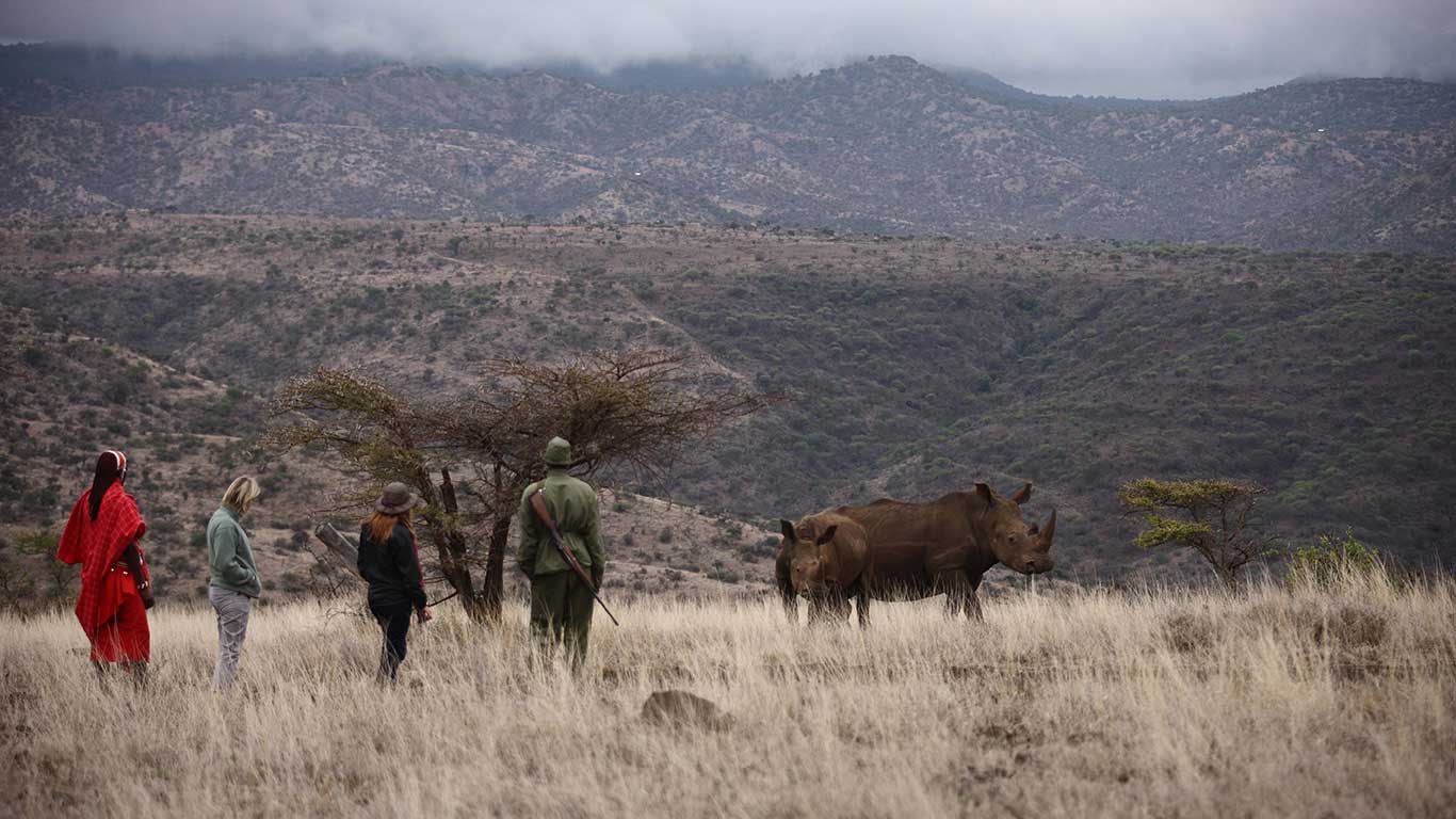 Elewana Lewa Safari Camp thumbnail 6