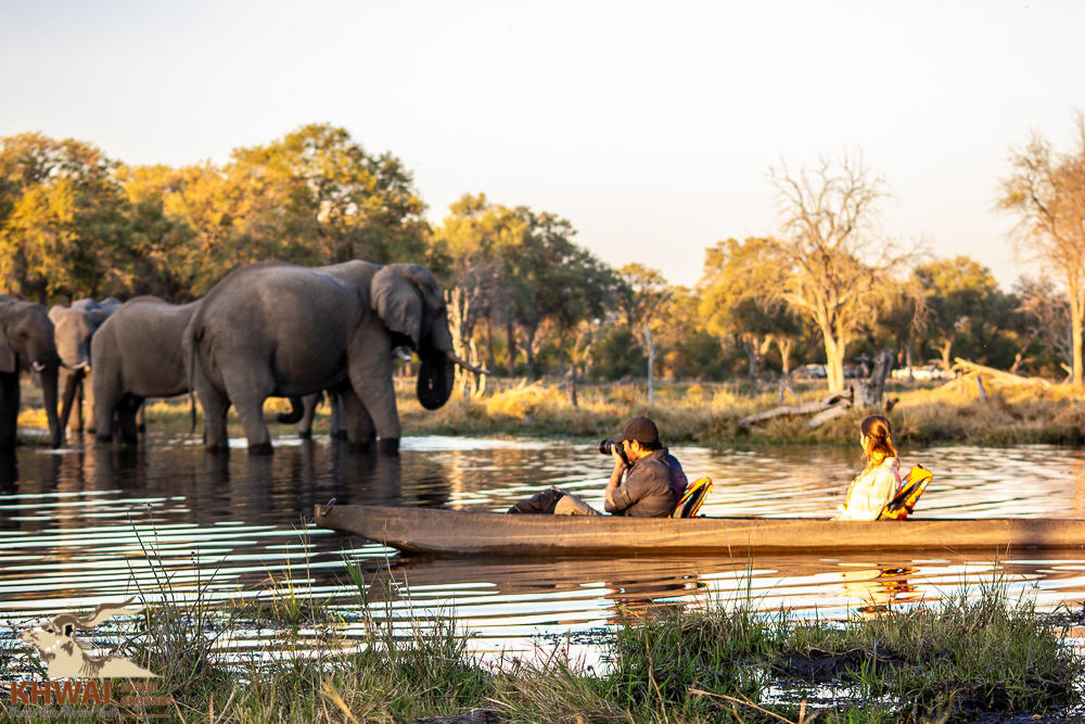 Mogotlho Safari Lodge thumbnail 5
