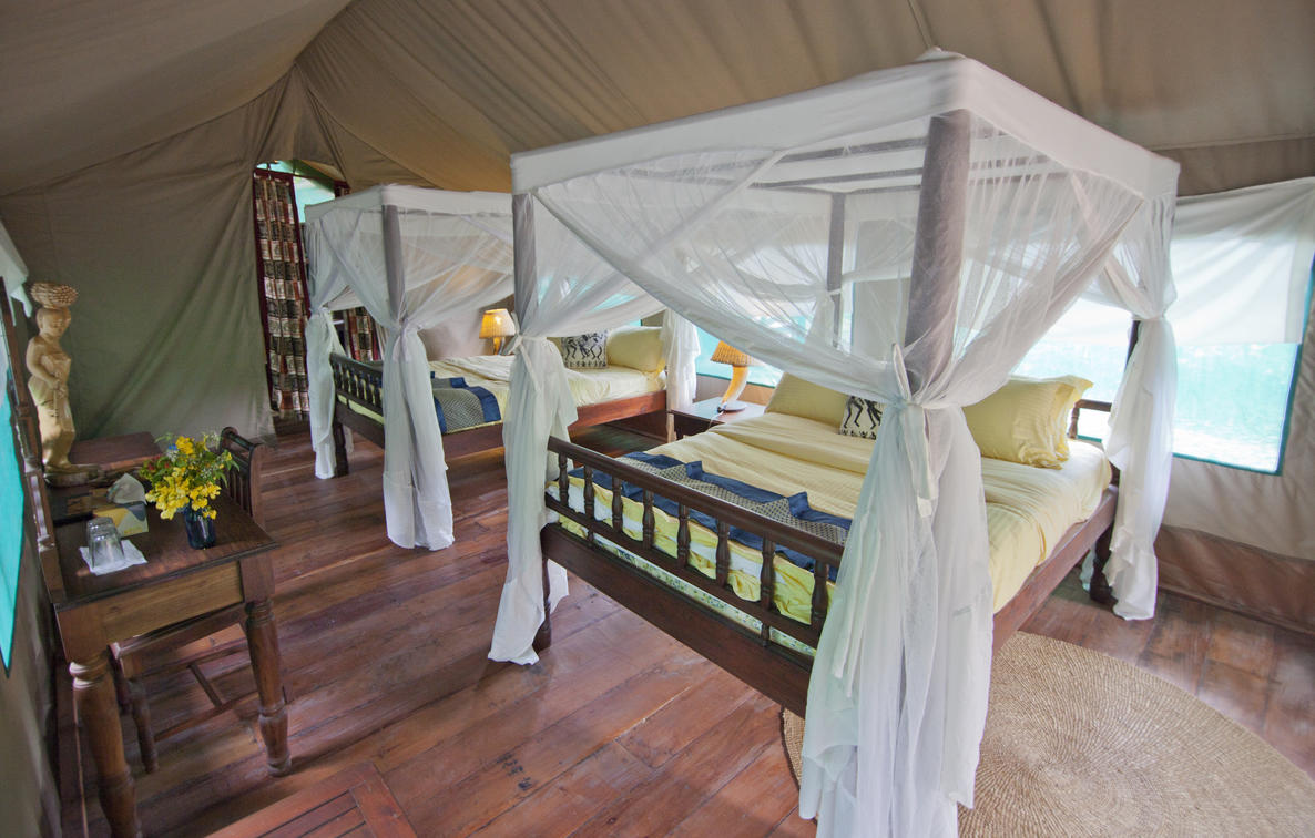 Mbali Mbali Gombe Lodge thumbnail 4